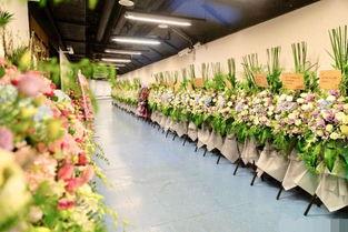 花篮网最新爆料视频大全